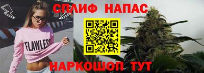 СК Будённовск