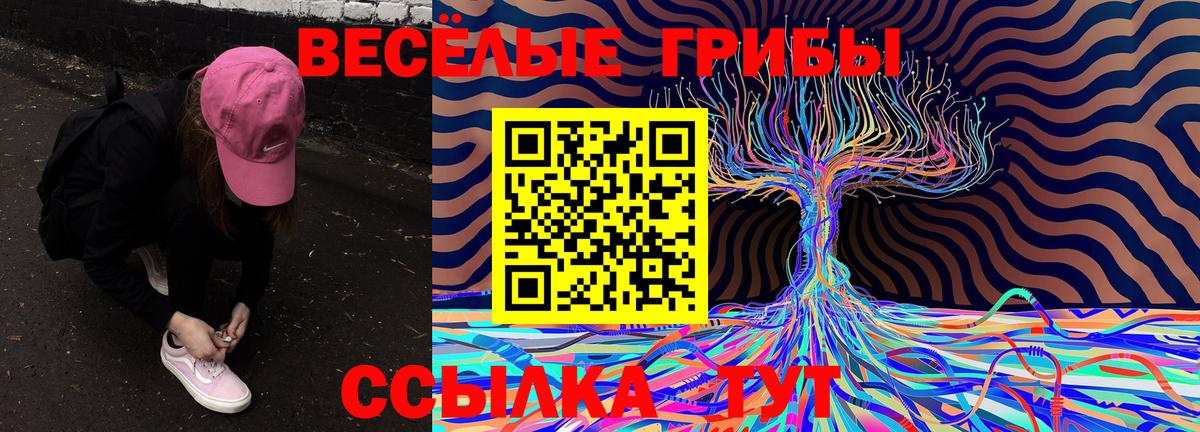 Псилоцибиновые грибы Psilocybine cubensis  Вход с VPN  Заволжье  Псилоцибиновые грибы Cubensis 